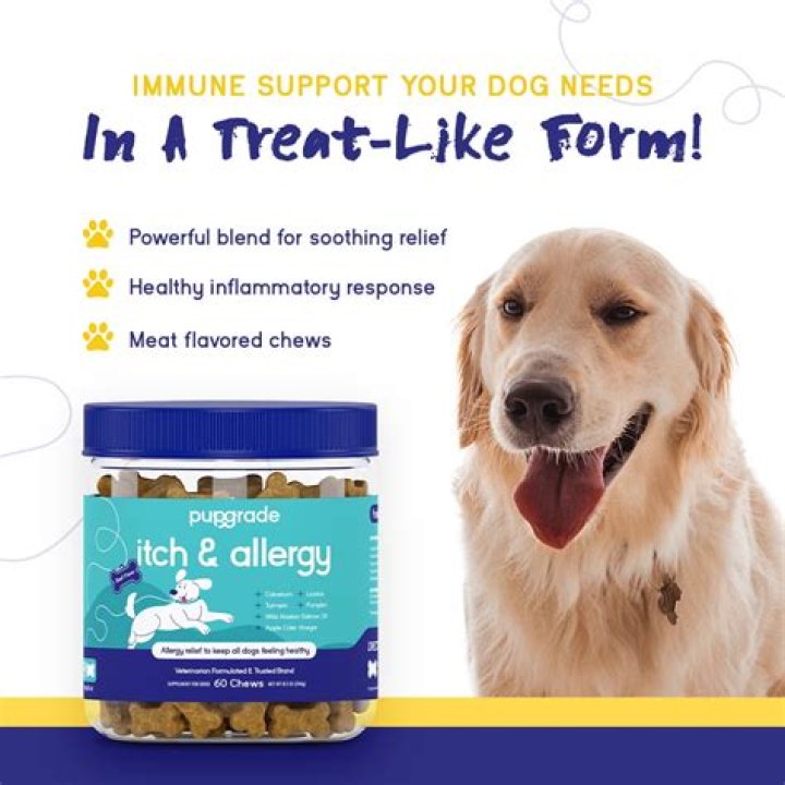PupGrade Itch & Allergy Chew Supplement for Dogs