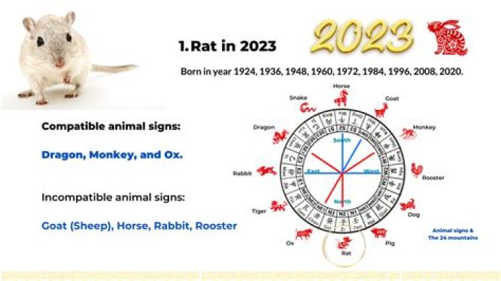 Rats are compatible with a few signs in the Chinese zodiac