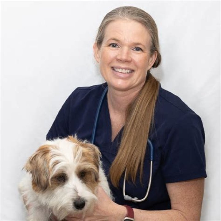 Renee is a veterinarian