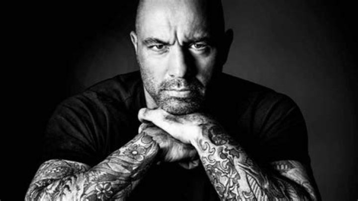 Rogan's fans loved the song