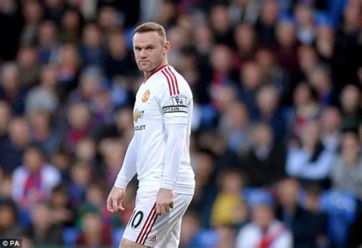 Rooney declared: 'It is my job to bring back some dignity and some pride to this club' shortly before being pictured at five in the morning, bleary-eyed and boozed up