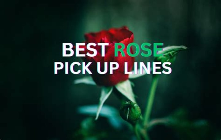 Rose will pick up a strapping figure for her fighting costume