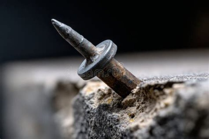 Rusty nails embedded in the tree at the spot where the young Brit was killed