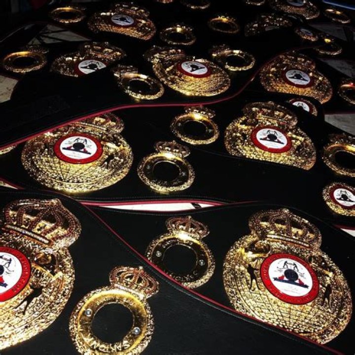 Sahaghian designed belts for different boxing federations