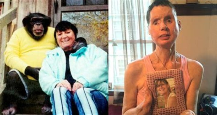  Sandra Herold had raised her pet chimpanzee Travis for most of his life