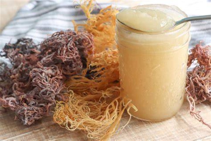 Sea moss can be made into supplements or a gel