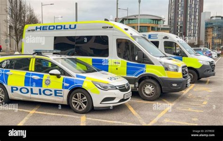 Several police vehicles outside of the north west London shopping centre