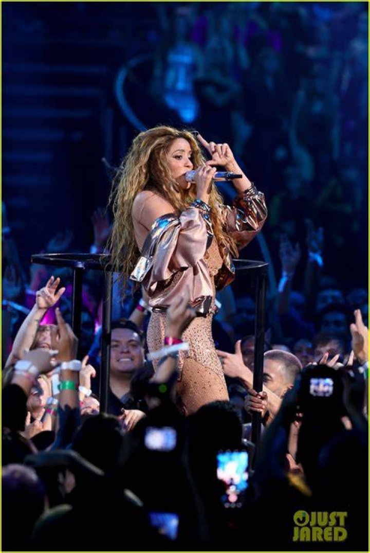  Shakira stunned the crowd when she hopped off stage and crowd surfed