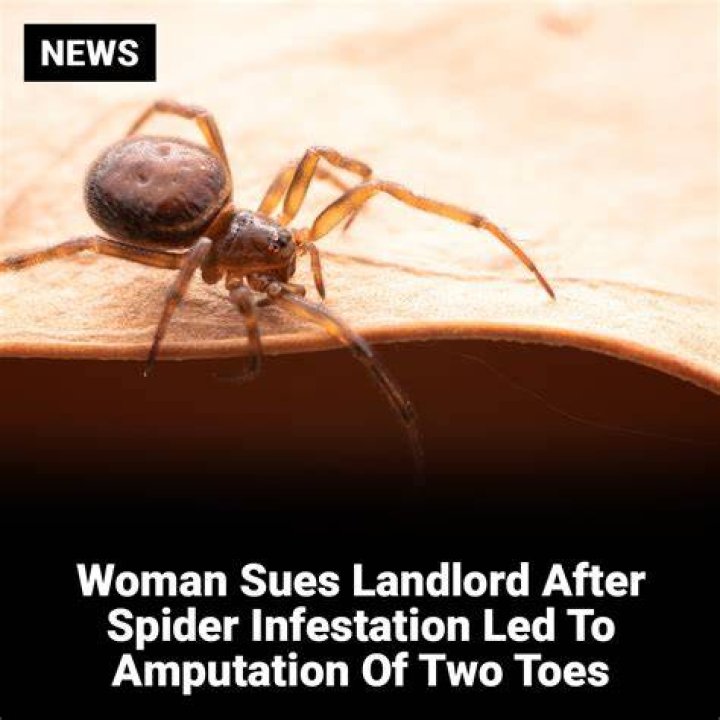 She claimed that the infestation was so bad that she had to move to a completely different apartment