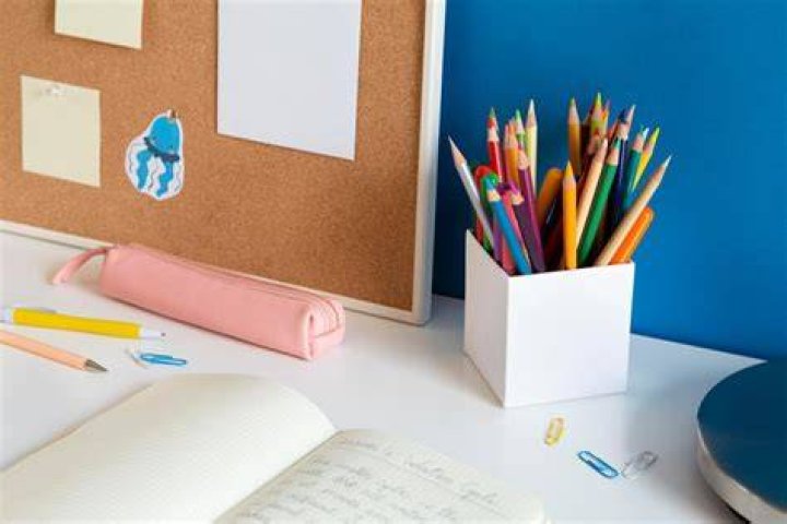 She created a school which had a whiteboard and books