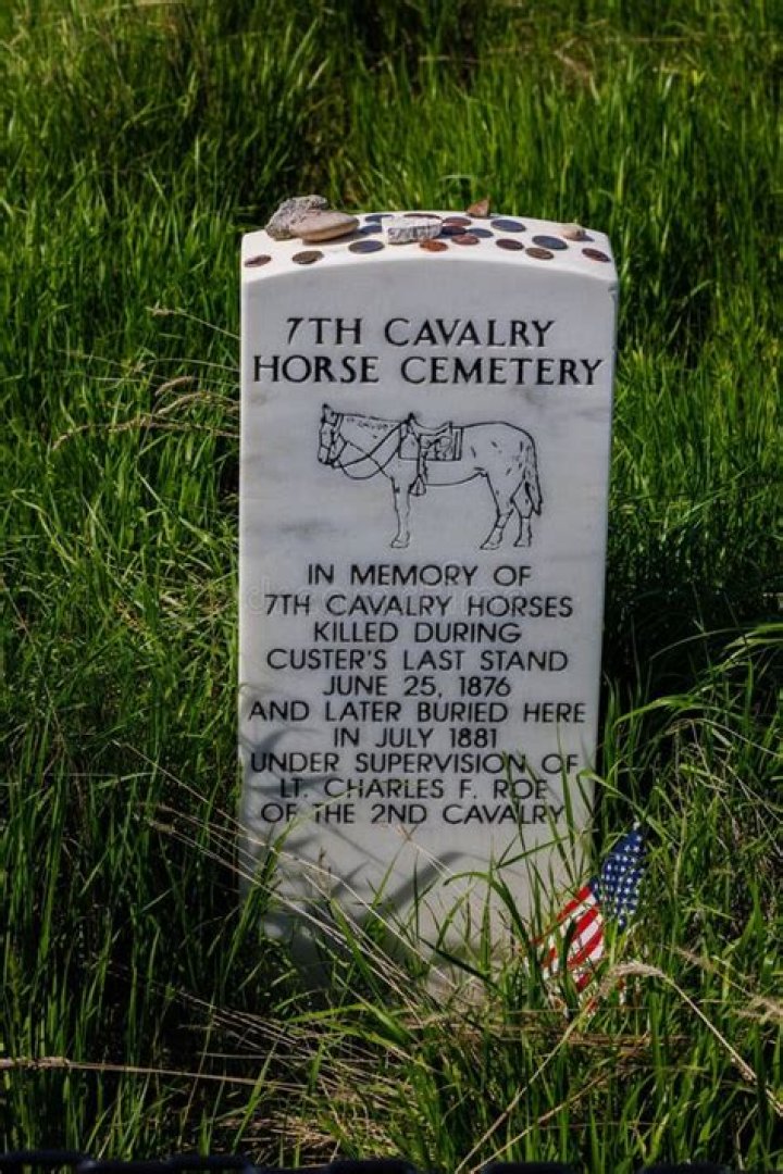  Sheets cover cavalry horses killed in the Hyde Park bombing