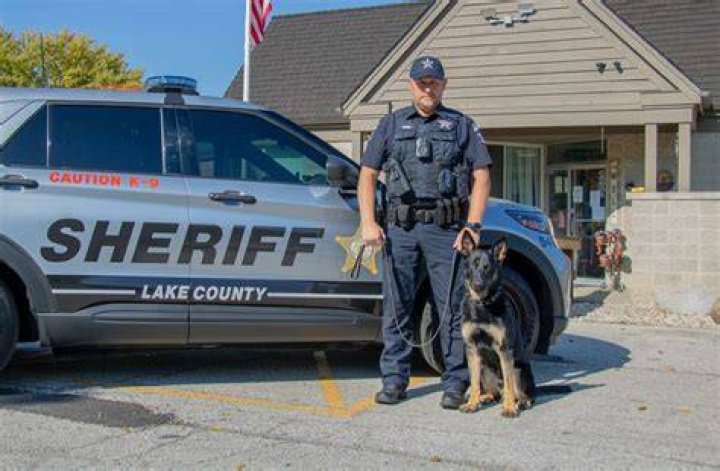 Sheriff teams search the lake after the accident