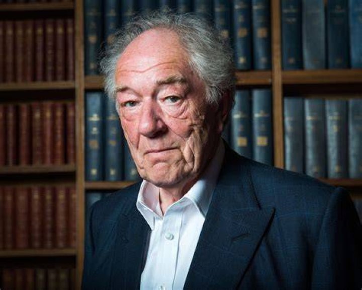 Sir Michael Gambon, pictured in 2018, starred as Albus Dumbledore in Harry Potter