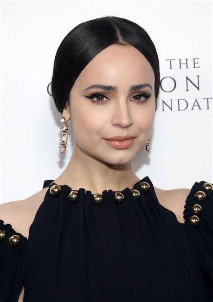 Sofia Carson stopped by the 19th season of American Idol to perform A Whole New World with the nine finalists