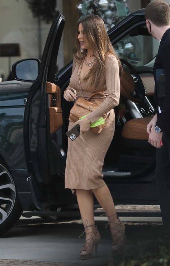  Sofia displayed her tan in the skimpy cow-print two-piece