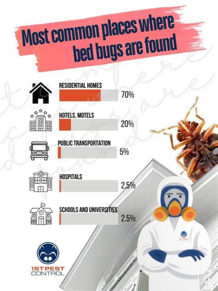 Some common places bed bugs can be found are in beds, the seams of chairs, drawers, couches, cushions, and curtains