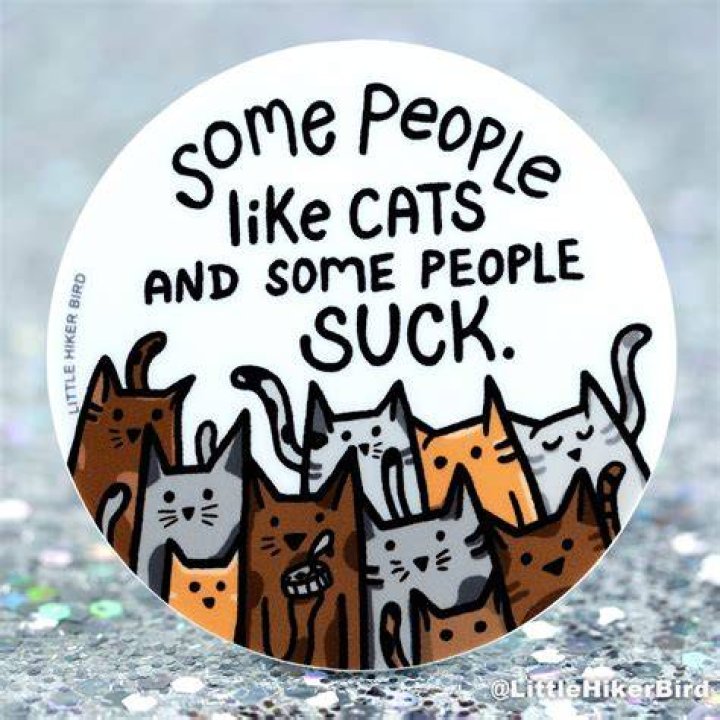 Some people think that cats crying is a sign that labour is near