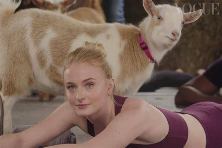 Sophie Turner Goat Yoga