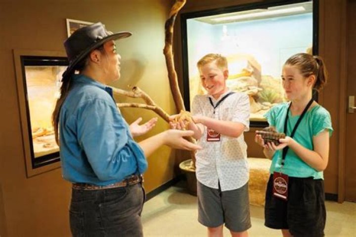 Staff at the Birmingham Reptile Centre thought the snake must have escaped from captivity