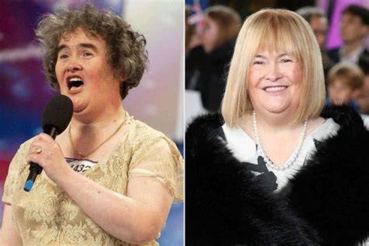 Susan Boyle is arguably Britain's biggest TV success story