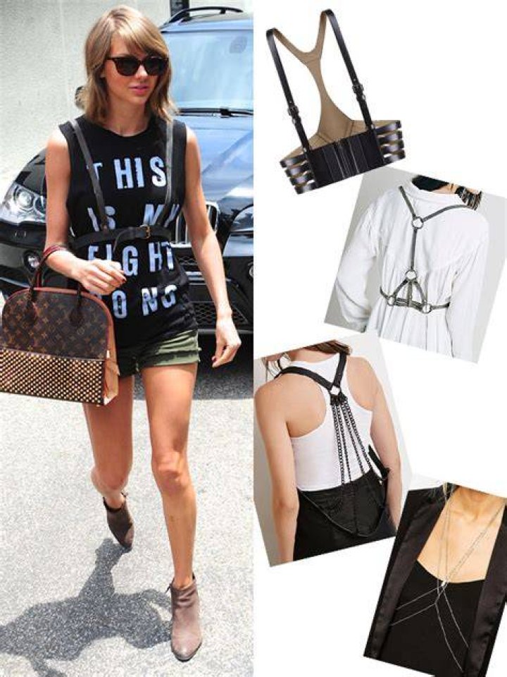 Taylor Swift - harness from side
