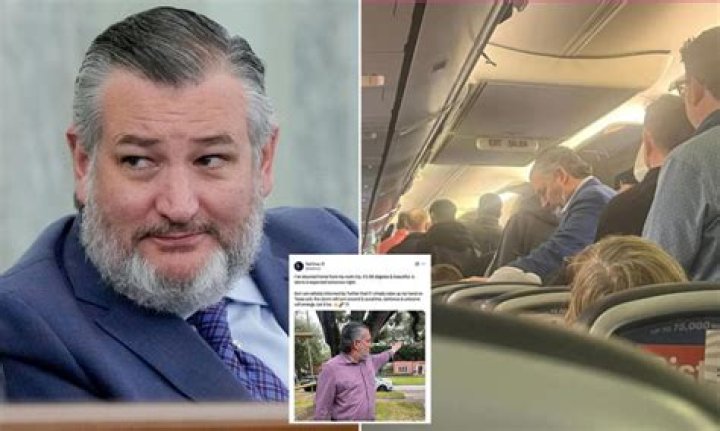 Ted Cruz flew back to Texas the next day