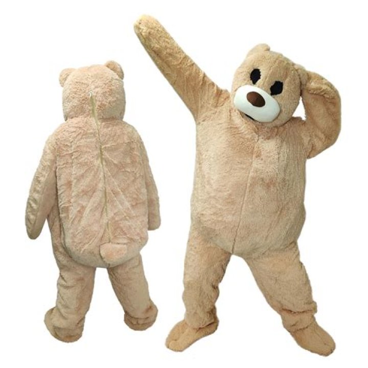 teddy bear costume