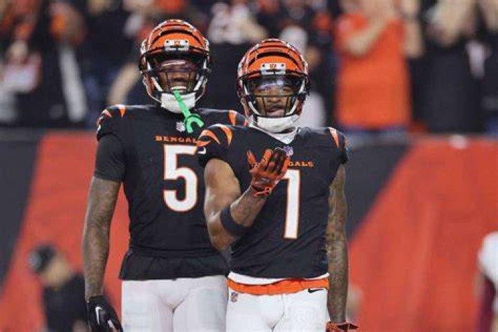 Tee Higgins was left fuming after a no-call in the 4th quarter against the Vikings