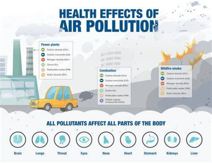  The amount of dangerous nitrogen dioxide has also dropped, according to the European Public Health Alliance