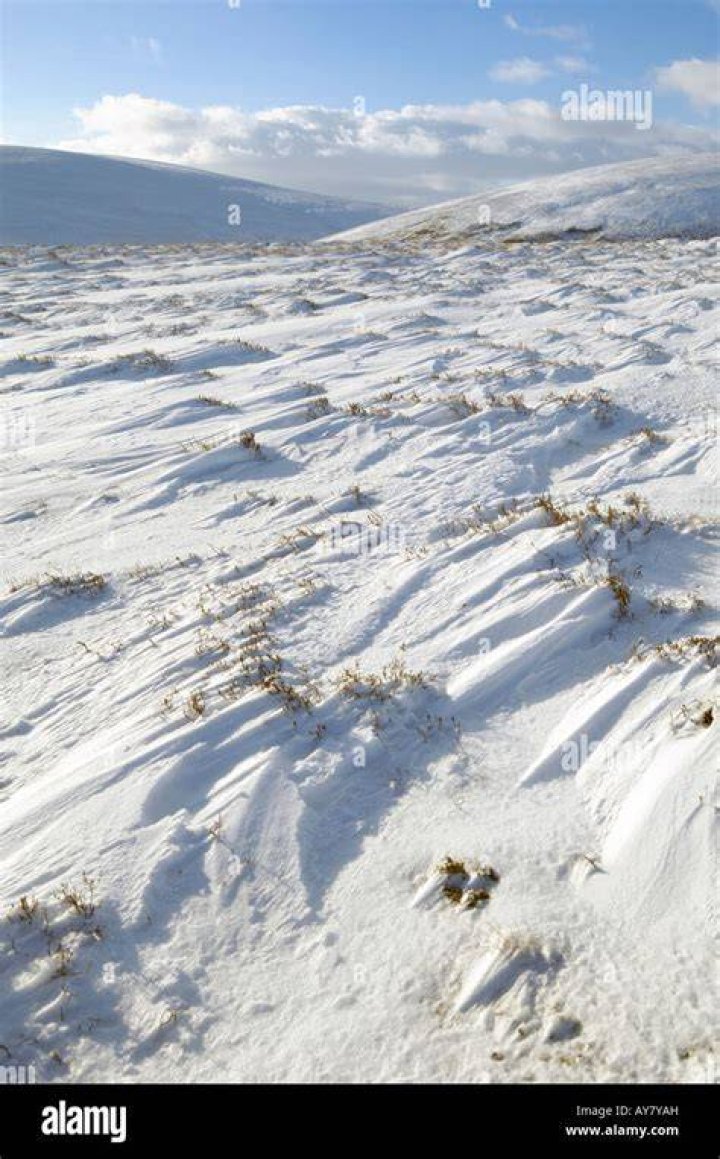 The area surrounding the Lecht Ski Centre in the Scottish Highlands saw a sprinkling of snow today