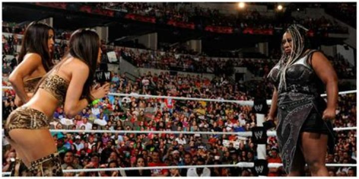 The Bella twins have dropped a huge tease they could return to WWE