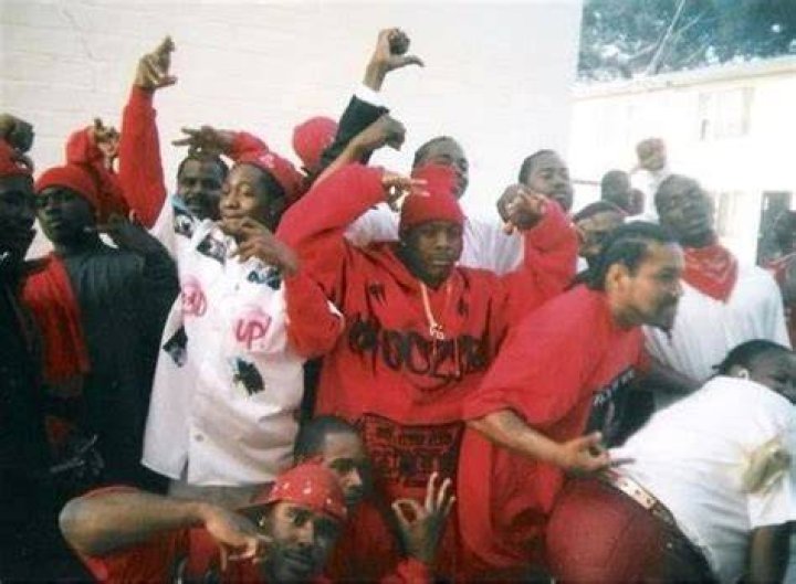 The Bloods gang formed in 1972 in Los Angeles