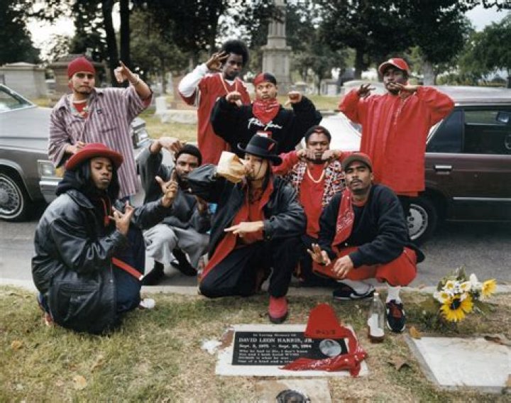 The Bloods gang have over 25,000 members in the US and Canada