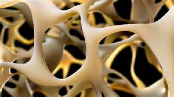  The bones could be a missing link in the human evolution puzzle