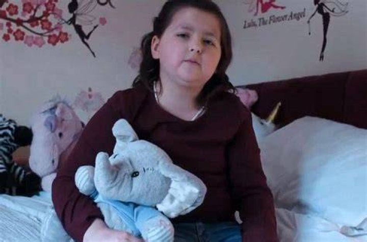  The brave 10-year-old had been desperate to go on the pink and purple slide