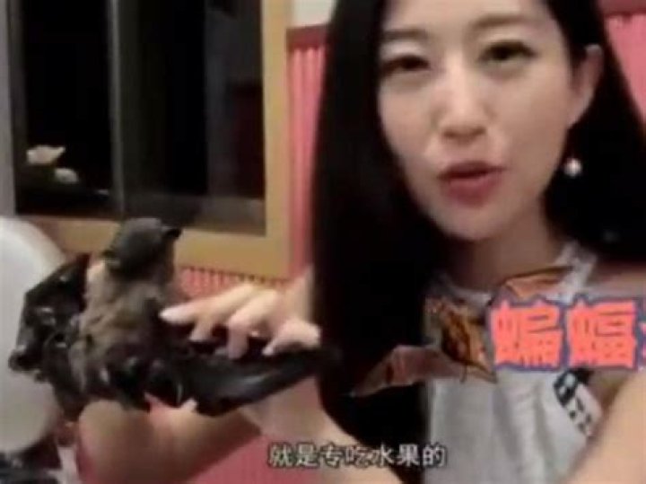  The Chinese vlogger apologised for eating the bat
