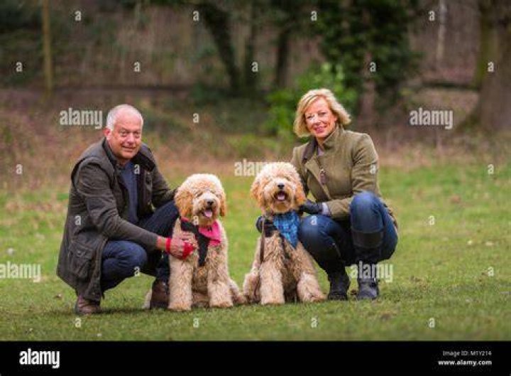 The couple have a Goldendoodle called Ruby