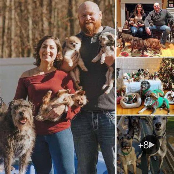 The couple share six dogs together