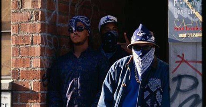 The Crips gang originated in Los Angeles in 1969 and stemmed from the Black Panther organization