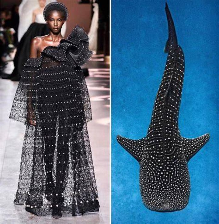  The designers took inspiration from the legacy of Predator and the extremes of nature to come up with the latest model