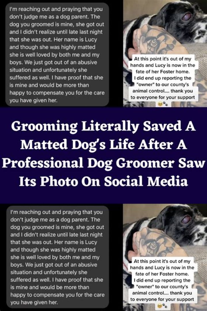 The dog groomer thankfully saw the funny side