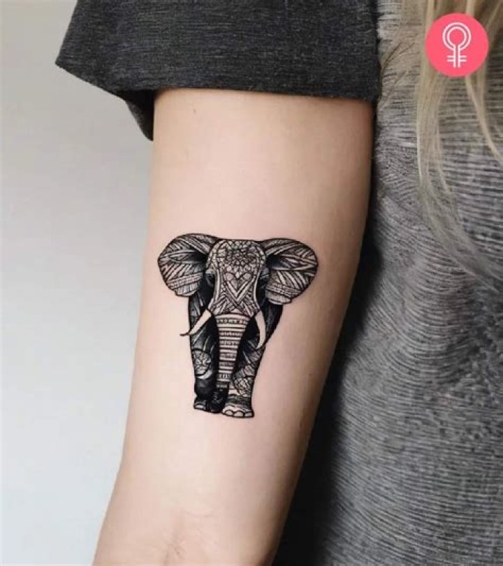 The elephant tattoo has a rude mistake