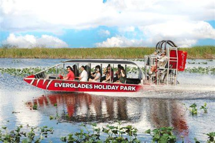 The Everglades Holiday Park boasts an up close and personal animal experience