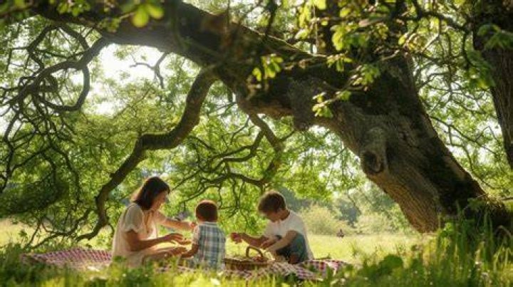 The family have a sprawling home in the Cotswolds