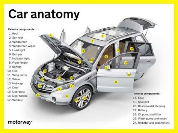The front of the vehicle appeared to sustain damage