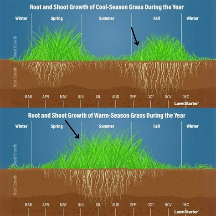 The grass was grown on a sod farm in California before being shipped in