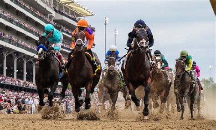 The horse will race in 'United red and City blue' in tribute to Manchester's two largest football clubs
