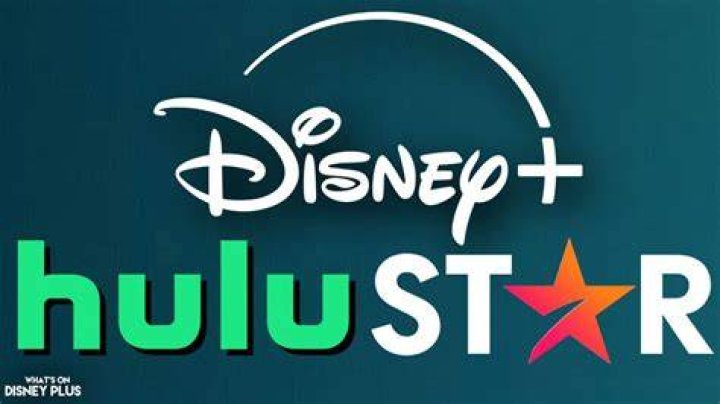The Hulu star has taken North to various public events in the past