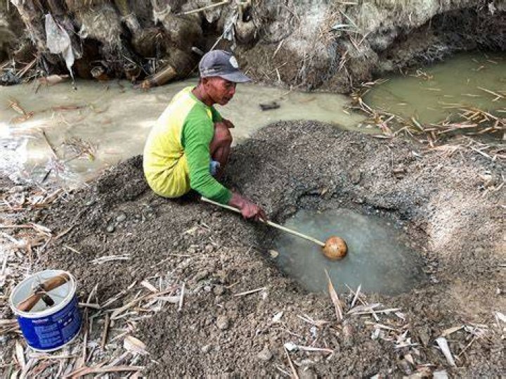  The Indonesian villagers dig up their dead love ones every three to four years as part of a bizarre ceremony