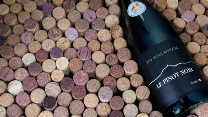 The more expensive Gave Pinot Grigio comparable could cost near $50
